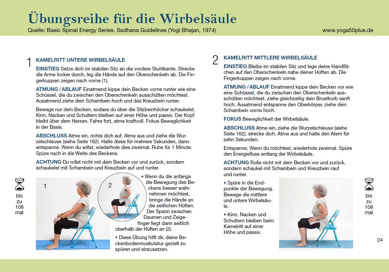 wirbelsäule